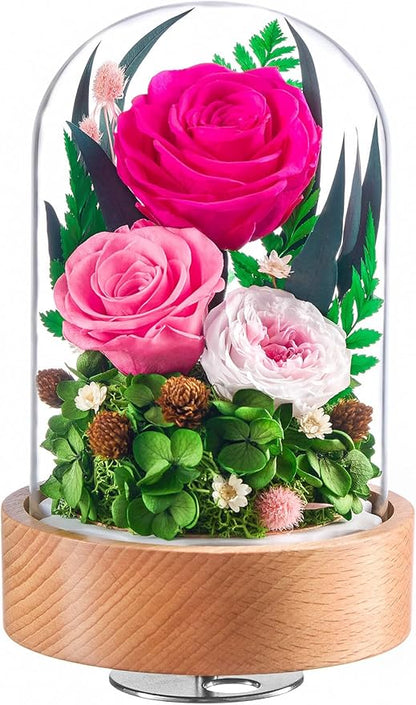Eterfield Flowers for Delivery Prime, Christmas Preserved Roses Gifts for Women - Forever Flower in Glass Dome Birthday Gifts for Mom Wife Grandma Her Valentine’s Day (Hot Pink, Cylindrical)