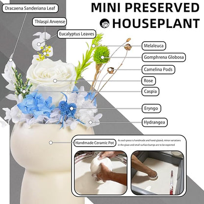Preserved Floral Gift Set, Everlasting Rose in Small Ceramic Pot - Lasting Beauty for Home Table Decor, Mother's Day, Valentine's Day, Birthday, and Anniversary (White)