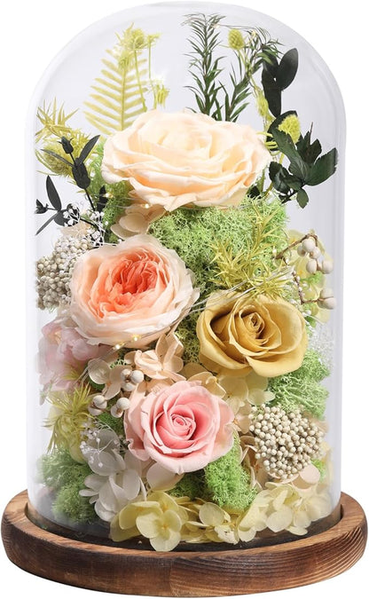 Flowers for Delivery Preserved Flowers Rose in Glass Dome,Champagne Rose Forever Flowers Birthday Gifts for Women Mom Grandma Friend Gifts for Her,Home Decor