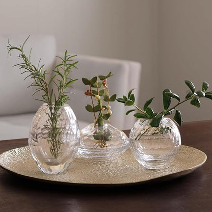 Beatriz Ball Glass Faceted Teardrop Bud Vase (Clear)