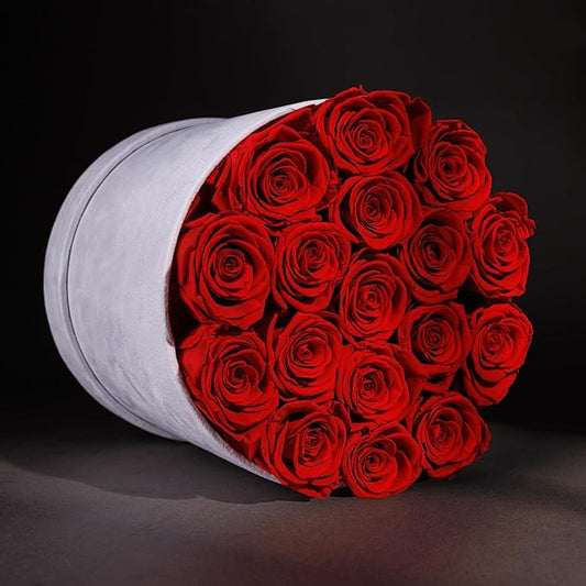 17 Flowers in a Luxury Suede Box, Birthday Gifts for Women, Preserved Flowers, Mothers Day Roses Gift for Mom, Red
