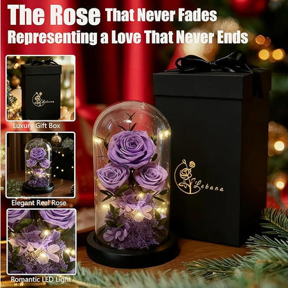 Birthday Gifts for Women Fresh Flowers for Delivery Prime Forever Preserved Rose in Glass Dome Gifts for Her Girlfriend Grandma Daughter Wife Valentines Mothers Day Christmas Anniversary-Light Purple