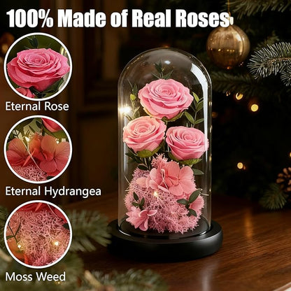 Birthday Gifts for Women Mom Fresh Flowers for Delivery Prime Forever Preserved Rose in Glass Dome Gifts for Her Girlfriend Grandma Daughter Wife Valentines Mothers Day Christmas Anniversary-Pink