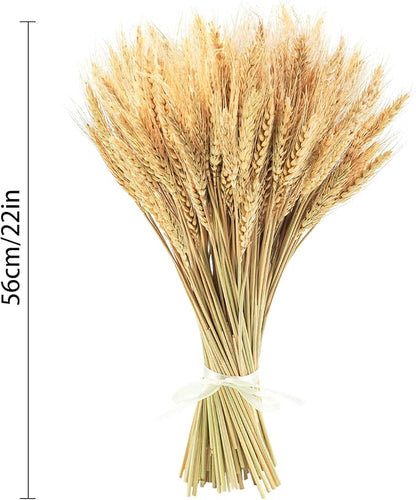 Uieke 17.7 Inches Dried Wheat Stalks, 400 Stems Dried Flowers 100% Natural Wheat for Home Kitchen Wedding Party Table Centerpiece Harvest Wreath Boho Farmhouse DIY Decoration