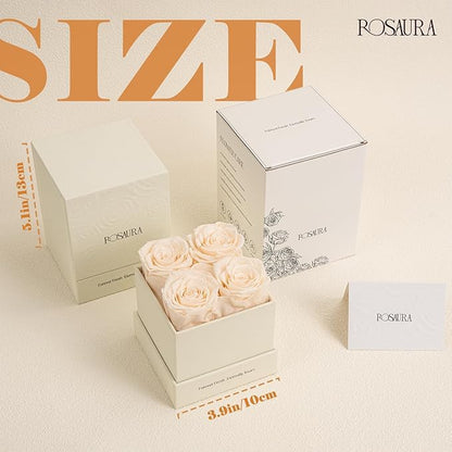 Rosaura 4-Piece Eternal Preserved Roses & Flowers Gift Box - Forever Lasting Real Roses, Preserved Flowers for Valentine's Day (Champagne)