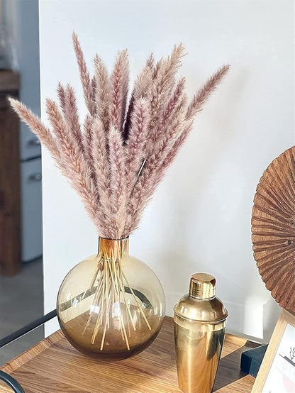 60 Pcs Pampas Grass ,17.7 inch/45cm Natural Dried Pampas Grass Branches Decor for Home Kitchen Garden Party Photographing Flower Arrangement Vase Decor (Natural)…