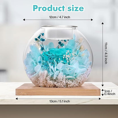 Christmas Birthday Gifts for Women Preserved Roses in Glass Dome with Scented - Romantic Preserved Flower for Women, Girlfriend, Wife, Mom, Grandma, Sister, Her-Cyan