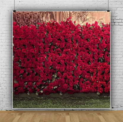 AOFOTO 10x10ft Romantic Roses Backdrop Wedding Photography Background Garden Flowers Lovers Couple Girlfriend Bride Portrait Valentine's Day Photo Shoot Studio Props Seamless Wallpaper