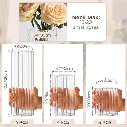 ComSaf Glass Cylinder Vases Pack of 12, Clear Ribbed Bud Vases for Centerpieces Weeding Decoration, 4 inch 6 Inch 10 Inch Tall Clear Flower Vases in Bulk, Hurricane Candle Holder for Party Home Decor