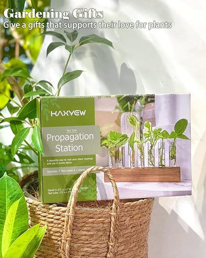 KAXYEW Plant Terrarium with Wooden Stand, Plant Propagation Tubes, 7 Test Tubes Glass Planter for Hydroponic Plant Cuttings Home Office Décor