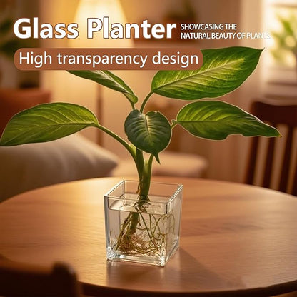 12pcs Square Glass Vases for Centerpieces, 3.15" Clear Short Glass Vase Cube Plant Terrarium, Candle Holder for Wedding Centerpiece, Office Decorations, Home Décor, Parties
