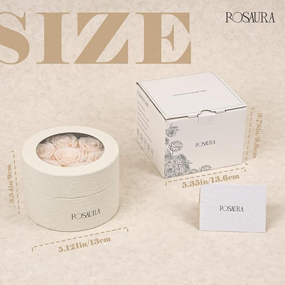 Rosaura Round Preserved Roses Gift Box - Real Forever Flowers for Birthday, Valentine's & Mother's Day (Champagne, 7 Roses)