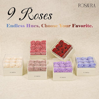 Rosaura Square Preserved Roses Gift Box - Real Forever Flowers in Clear Acrylic Lid, Valentine's for Women (Cappuccino, 9 Roses)