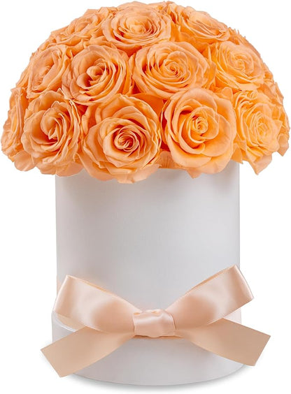 27 Forever Roses Dome in White Box, Eternal Real Roses Gifts for Women, Preserved Flowers for Delivery Prime, Anniversary, Valentine's Day, Christmas, Birthday for Her (Champagne)
