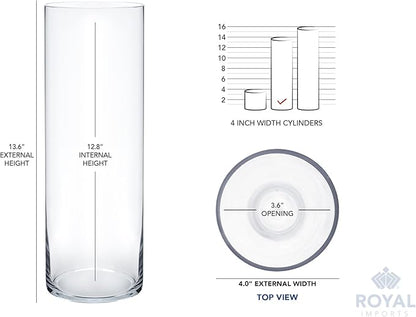 Royal Imports Flower Glass Vase Decorative Centerpiece for Home or Wedding - Cylinder Shape (4" Wide x 14" Tall, Clear)