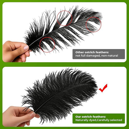 Piokio 20 pcs Natural Black Ostrich Feathers 6-8 inch(15-20 cm) Bulk for DIY Clothes, Feather Pens, Dream Catcher, Gatsby Decorations