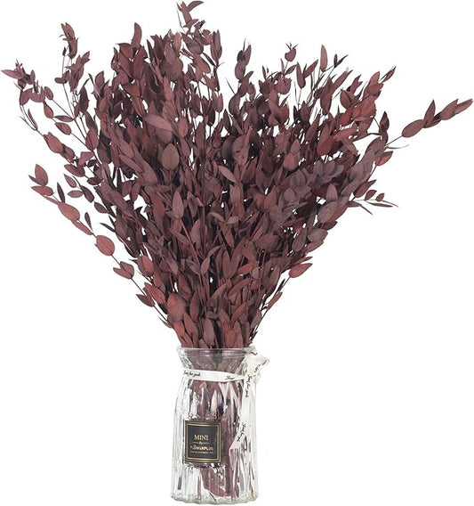 Dried Eucalyptus Leaves Preserved Greenery Stems, 8-14 PCS Eucalyptus Garland Branches, 4 OZ Red Leaves Plant Bundle for Wedding Wreath Party Home Decor Vase Filler