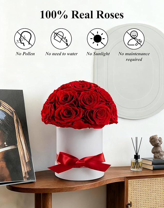 Preserved Roses Dome in a Box, Forever Real Roses Decor, Eternal Flowers for Delivery Prime, Best Gifts Birthday, Wedding, Anniversary, Mother's Day, Christmas for Her, 18-Pieces (Red)
