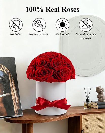 Preserved Roses Dome in a Box, Forever Real Roses Decor, Eternal Flowers for Delivery Prime, Best Gifts Birthday, Wedding, Anniversary, Mother's Day, Christmas for Her, 18-Pieces (Red)