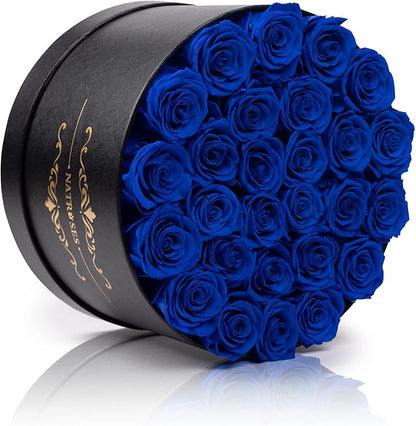 NATROSES 27 Piece Forever Preserved Roses in a Box, Preserved Flowers for Delivery Birthday, Flowers Gifts for Mothers Day, Royal Blue