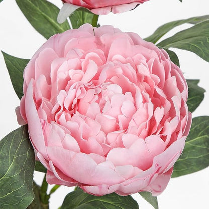 Hollyone Pink Fake Peonies Artificial Flowers in Pot 16.9" Small Peonies Tree Indoor Outdoor Faux Plants & Flowers Peony Silk Flowers Potted Plant Artificial Peony Floral Arrangement Desk Home Decor