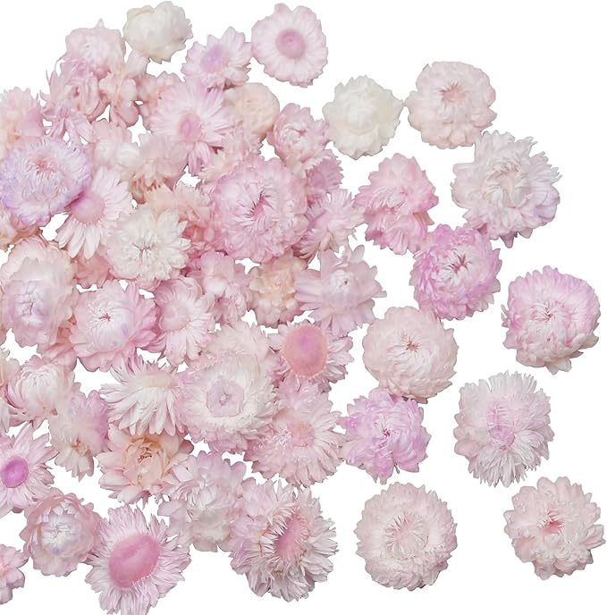 60 Pcs Natural Dried Daisy Flowers Heads Bulk Gerbera Daisies Pink Real Sunflowers Chrysanthemum Dry Flower Arrangements for Wedding Decor Home Party Decoration Headband DIY Craft