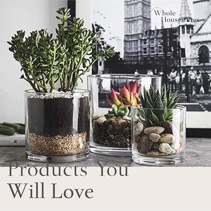 WHOLE HOUSEWARES | 4"X4" Glass Cylinder Vase | Candle Holder | Decorative Centerpiece Arrangement for Wedding Party Event Home Office Decor | Set of 6