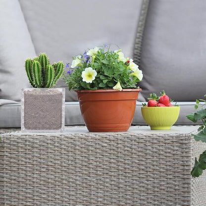 Angoily Transparent Square Glass Flowerpot Cube Shape Hydroponic Vase for Home Office Decoration Elegant Small Planter Pot Pure Material Easy to Clean