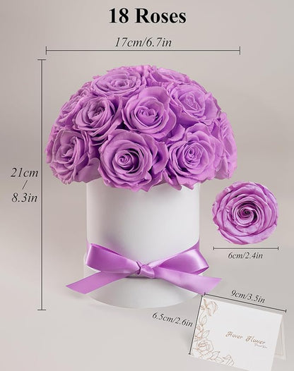 Preserved Roses Dome in a Box, Forever Real Roses Decor, Eternal Flowers for Delivery Prime, Best Gifts Birthday, Wedding, Anniversary, Mother's Day, Christmas for Her, 18-Pieces (Purple)