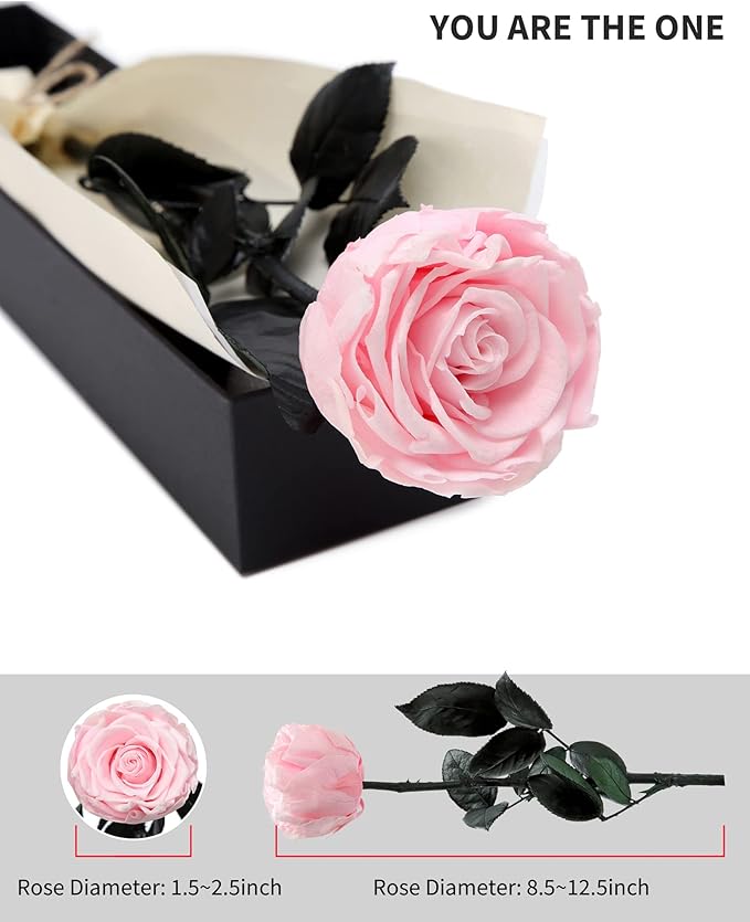 Pink Flowers for Delivery Prime, Preserved Pink Roses Flower Gifts for Women, Real Roses Single Rose Gifts for Her, Mom Birthday Gifts from Daughter, Valentines Flowers