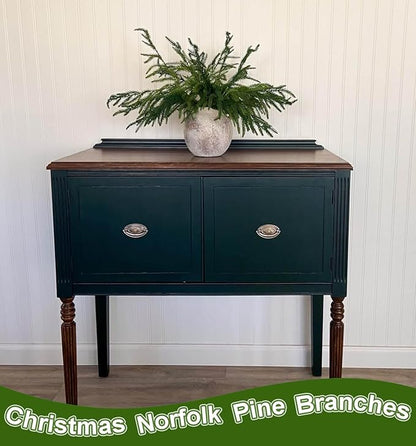 12 Pcs Christmas Norfolk Pine Branches Real Touch Norfolk Pine Stems Picks Faux Greenery Holiday Evergreen Stems for Vase DIY Crafts Garland Wreath Home Decor - 18" Long