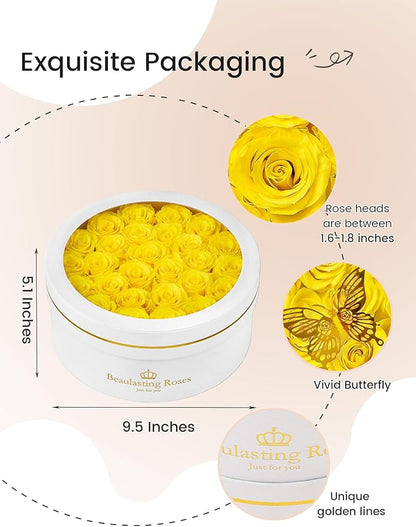 Preserved Roses Forever Flowers Real Roses in a Box Mother's Day Birthday Flowers for Her Mom Women Wife Valentine's Day, 27 Yellow Roses