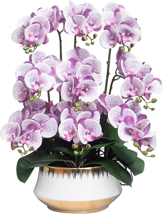 CXGS Orchids Artificial Flower Real Touch Faux Orchid in Large Ceramic Vase Realistic Fake Phalaenopsis Floral Arrangements Centerpiece Table Home Indoor Decor