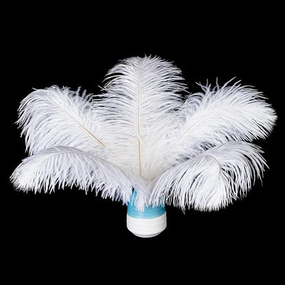 Piokio 20 pcs Natural White Natural Ostrich Feathers Plumes 8-10 inch(20-25 cm) Bulk for DIY Clothes, Feather Pens, Dream Catcher, Gatsby Decorations
