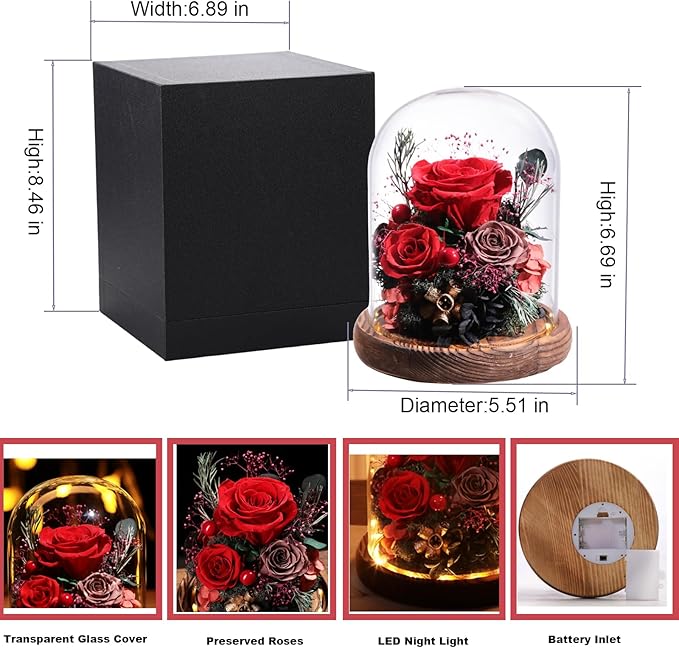 Flowers for Delivery Preserved Rose Gifts for Her,Long-Lasting Real Roses Flowers in Glass Dome,Birthday Gifts for Women Mom Wife Friend(Red Rose)
