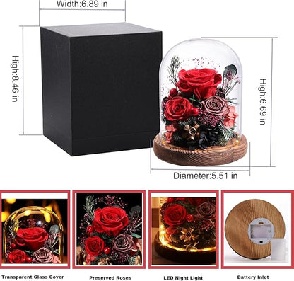 Flowers for Delivery Preserved Rose Gifts for Her,Long-Lasting Real Roses Flowers in Glass Dome,Birthday Gifts for Women Mom Wife Friend(Red Rose)