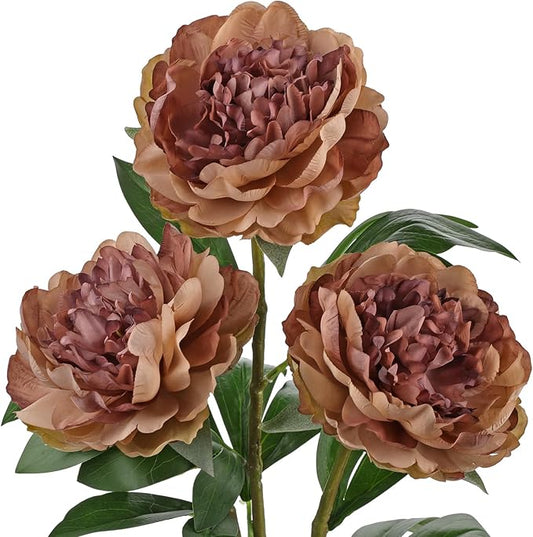 Briful 3PCS Faux Peony Flower Stems, 25.5" Artificial Peony Flowers Realistic Fake Flowers for Vase Arrangements Wedding Centerpieces Decoration(Brown)