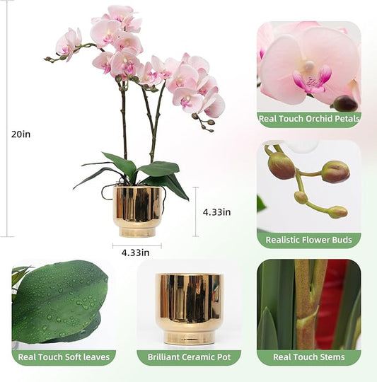 CXGS Orchids Artificial Flowers Real Touch Fake Flowers in Ceramic Pot 20" Pink Faux Orchid Plant Lifelike Silk Phalaenopsis for Centerpiece Hotel Home Indoor Decor