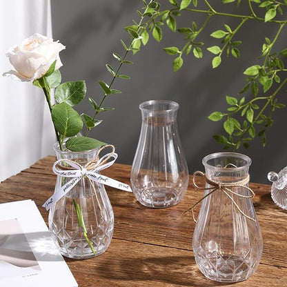 Bokon 6 Packs Small Plastic Bud Vases in Bulk with Gift Wrapping Ribbon, Vases for Flower, Wedding Centerpieces for Home Decor, Living Room, Office Decoration, Housewarming Party Gift (Clear)
