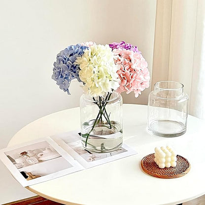 BLOFLO Clear Glass Vase, 7 Inch Large Glass Vase for Flowers, Modern Thick Glass Flower Vases for Centerpieces, Decorative Glass Cylinder Hydroponic Vase for Wedding, Home, Office (Clear, 7Inch)