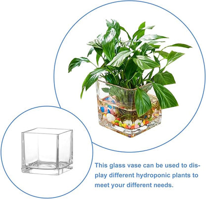 Healifty Clear Square Glass Vase Thick Transparent Cube Hydroponic Planter Modern Decorative Flower Container for Home Table Centerpiece