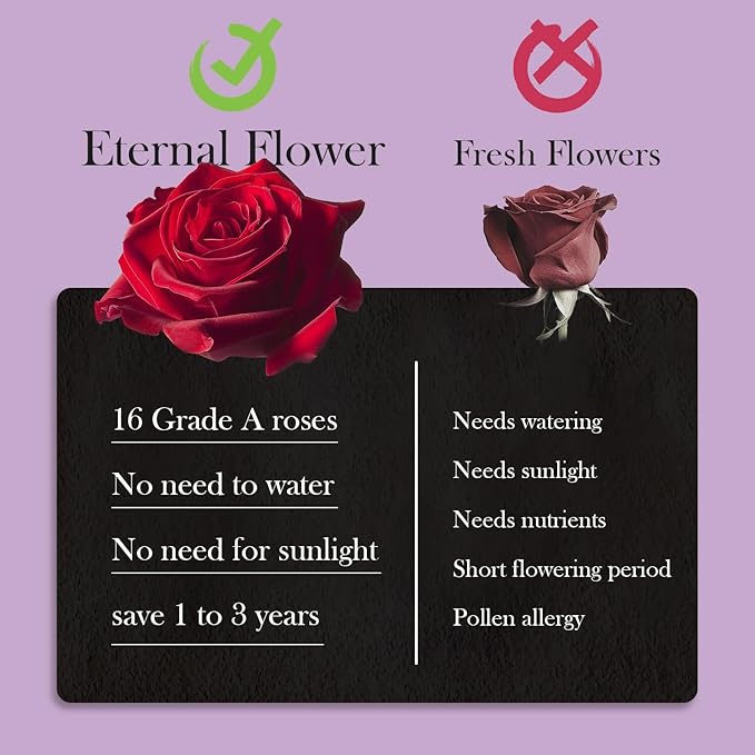 27 Preserved Roses in Heart-Shaped Box, Flowers for Delivery Prime Last up 2 Years, Real Forever Flowers for Wife, Girlfriend, Mother, Eternal Roses for Anniversary - Purple