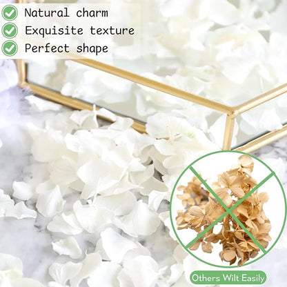 4500Pcs Ivory White Dried Hydrangea Flower Petals - 100% Natural Real Off-White Flower Petals for Wedding Confetti, Flower Girl Basket, Shower Party, DIY Crafts (3.17oz)