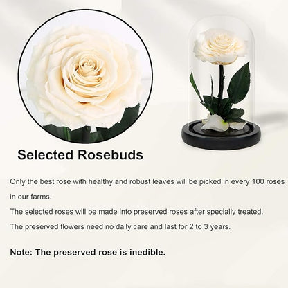 NATROSES Handmade Preserved Roses in Glass Dome, White Roses, Preserved Flowers Gifts for Women, Mothers Day Flowers