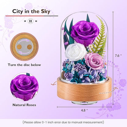 Eterfield Flowers for Delivery Prime, Christmas Preserved Roses Gifts for Women - Forever Flower in Glass Dome Birthday Gifts for Mom Wife Grandma Her Valentine’s Day (Purple, Cylindrical)