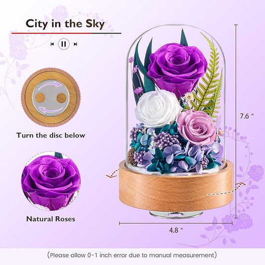 Eterfield Flowers for Delivery Prime, Christmas Preserved Roses Gifts for Women - Forever Flower in Glass Dome Birthday Gifts for Mom Wife Grandma Her Valentine’s Day (Purple, Cylindrical)