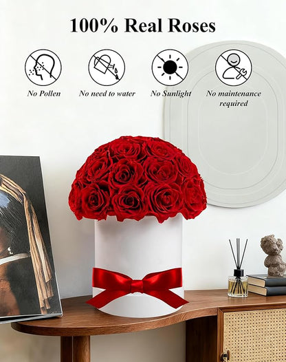 27 Forever Roses Dome in White Box, Eternal Real Roses Gifts for Women, Preserved Flowers for Delivery Prime, Anniversary, Valentine's Day, Christmas, Birthday for Her (Red)