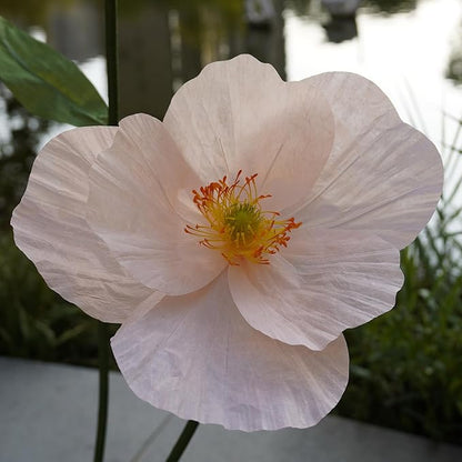 Large Paper Artificial Flowers,Giant Flowers for Decoration,Huge Handcrafted Poppy Fake Flowers with Stand for Home Decor Bridal Shower Party Outdoors Yard Event Backdrop Decor (Champagne)