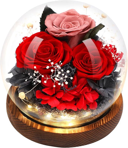 Preserved Flowers,Rose in Glass Dome with LED Light, Gifts for Her, Women, Mom,Grandma,Girlfriend, Wife-Style7