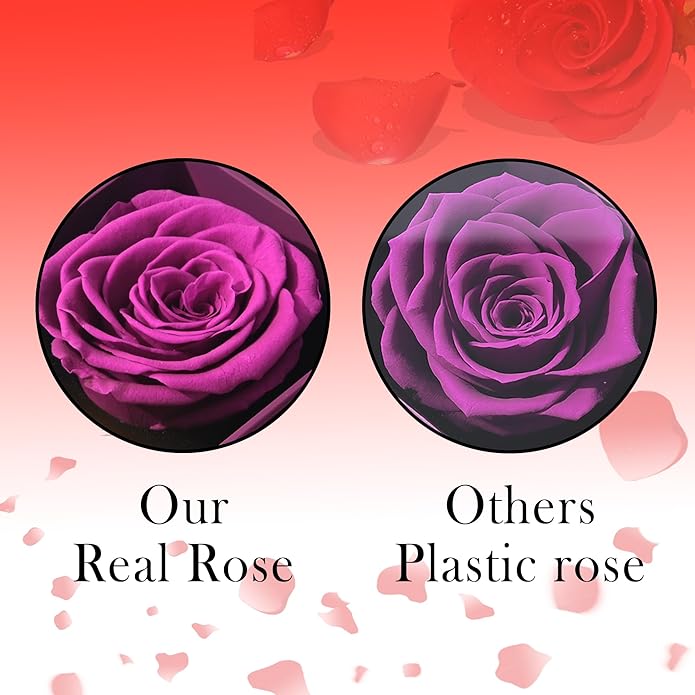 ‌TINGKU Eternal Real Rose Gift Box for Women, Preserved Rose with Customized Name Engraved Heart Necklace, Personalized Romantic Gift for Wife, Girlfriend, Mom, Mother's Day Love Keepsake